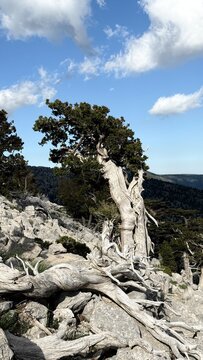 Raw Beauty of the Taurus Wilderness