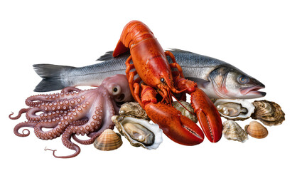 Whole lobster octopus fish oysters, and seashells assortment © Natalia