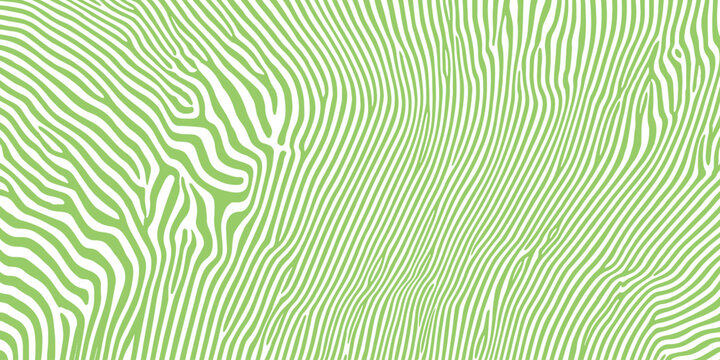 Abstract light green zebra stripe optical illusion background with fluid wavy lines and vector illustration.