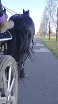 Horse carriage wheel side view with two black horses in front