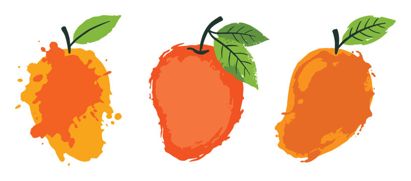 Oranges in different styles vector