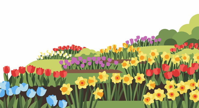 Vibrant spring garden bed filled with colorful tulips and daffodils