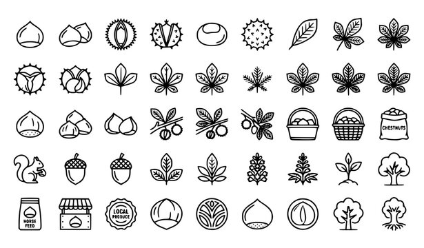 Nature and Seasonal Element Icon Collection with Leaves Trees Flowers and Fruits