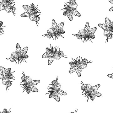 seamless pattern honey bee hand drawn. cute black, fly sketch, insect baby honey bee black sketch illustration