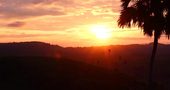 Silhouette tranquil season wilderness serene landscape. Tranquil lake countryside sunrise seaside reflection. Tropical amazing dramatic golden sky on sunset over scenic river lake seascape ocean