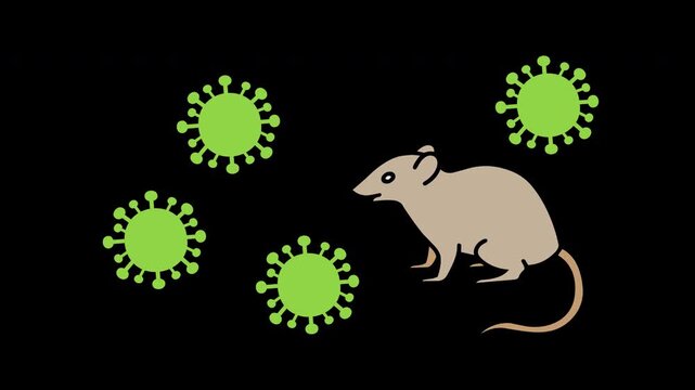 Hantavirus Virus Particles Floating Loop Animation Alpha Channel Included