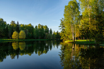 Obraz premium Still lake mirrors surrounding trees under soft blue sky