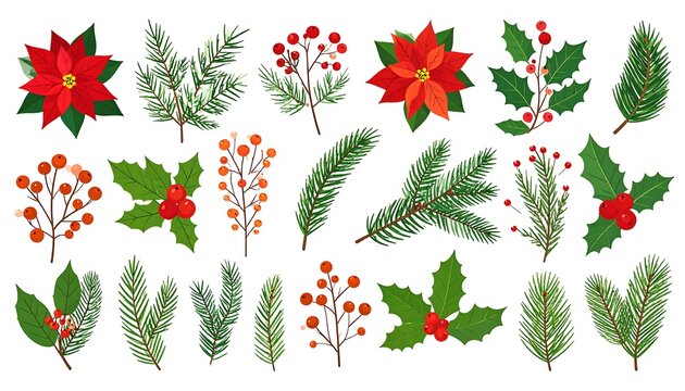 Colorful Christmas Botanical Elements Arranged on White Background