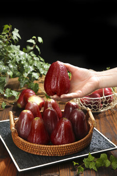 Fresh Red Wax Apples from Hainan - Hand Holding Premium Tropical Fruit with Many Varieties to Choose From