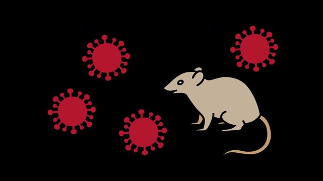 Hantavirus Virus Particles Floating Loop Animation Alpha Channel Included