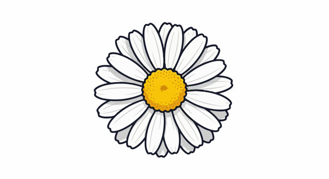 A cartoon-style daisy with white petals and a yellow center