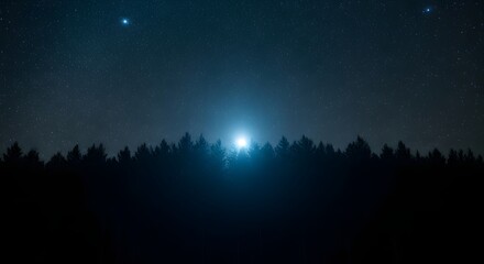 Obraz premium Forest silhouette under a starry night sky