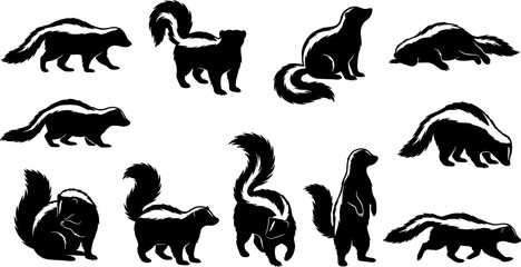 Obraz premium Bundle of skunk silhouettes depicting walking standing and spraying actions for nature design