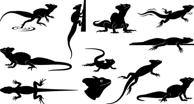 Basilisk lizard silhouette collection featuring various reptiles running on water and climbing vertical surfaces