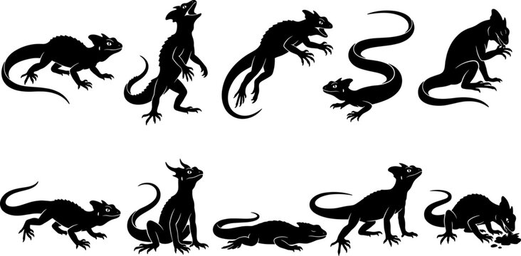Basilisk lizard silhouette set illustrating running and standing positions in a comprehensive bundle