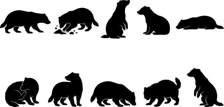 Badger and wolverine silhouette collection featuring digging walking and standing animal poses