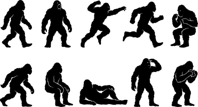 Bigfoot and sasquatch cryptid silhouette set featuring walking and hiding poses in forest bundle