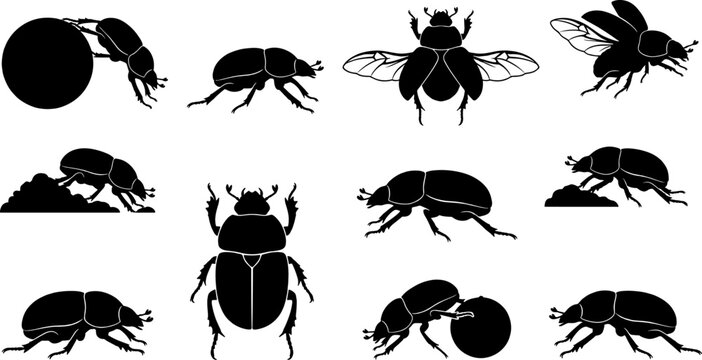 Bundle of dung beetle silhouettes rolling spheres and flying in various insect behavior poses