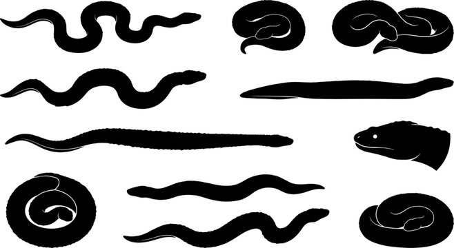 Bundle of snake silhouettes featuring coiled slithering and head detail positions in a set