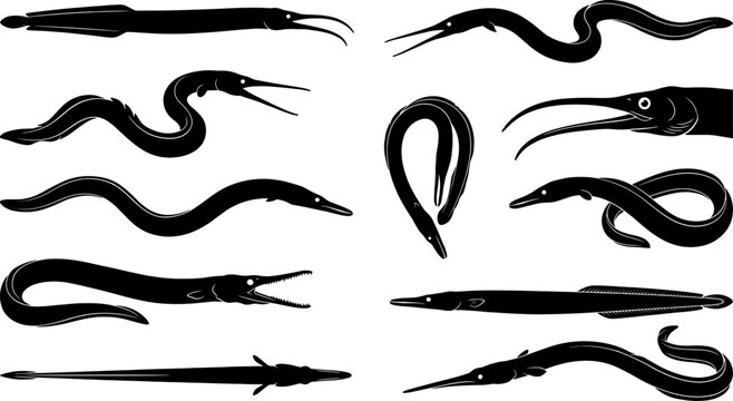 Bundle of long slender fish silhouettes including eels and needlefish in various poses