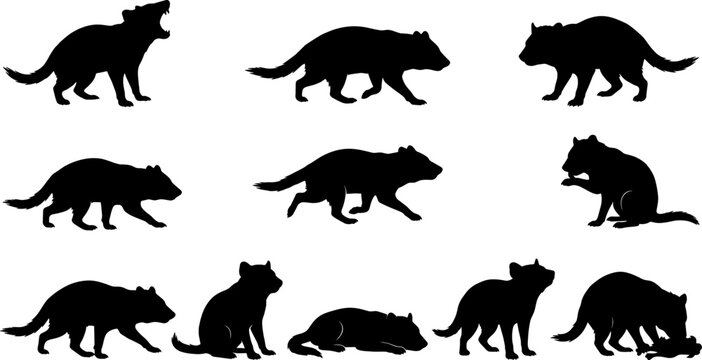Bundle of tasmanian devil silhouettes showing various aggressive and resting poses for graphics