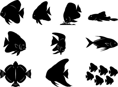 Bundle of tropical fish silhouettes including discus and angelfish in a set