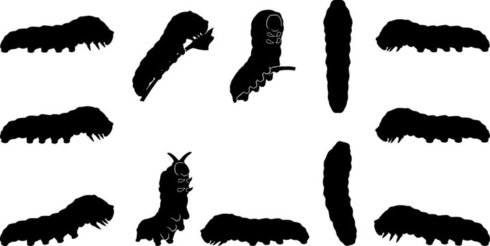 Caterpillar larva silhouette bundle displaying various crawling and feeding insect poses for garden themed graphics