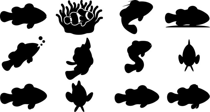 Clownfish silhouette pack featuring anemone fish swimming and hiding in coral reefs