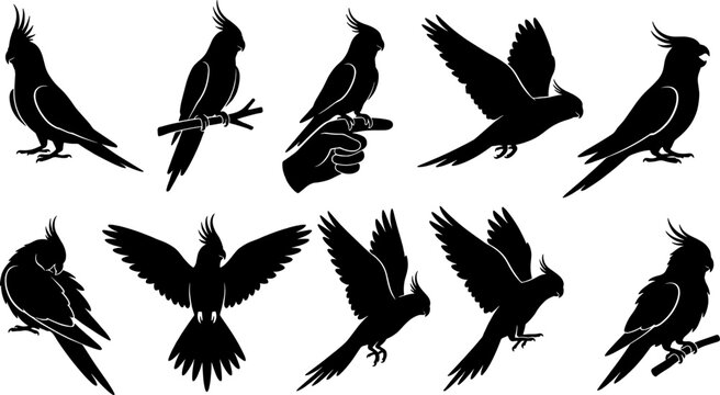 Cockatiel silhouette pack featuring parrots perching on hands and flying with wings spread