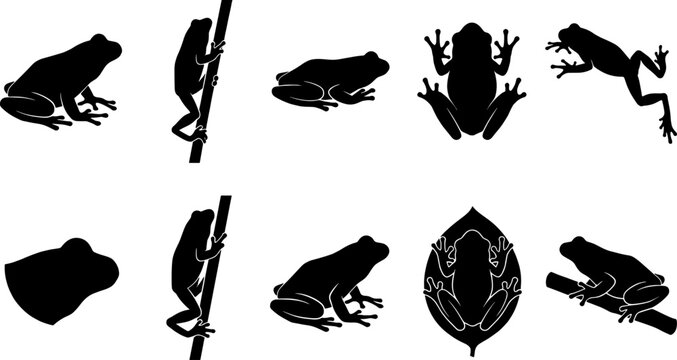 Collection of frog silhouettes climbing branches and resting in an amphibian set