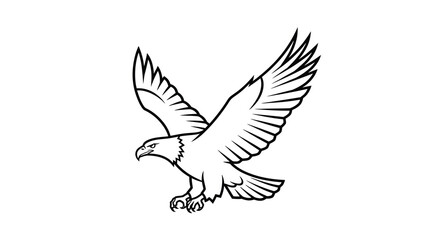 Fototapeta premium eagle in flight line art bird wing