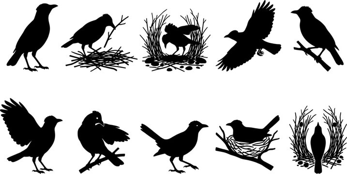 Crow and raven silhouette collection showing nesting behavior and flying actions in a graphic set