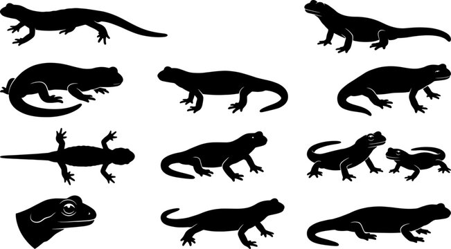 Gecko and lizard reptile silhouette bundle featuring head close-up and full body poses collection