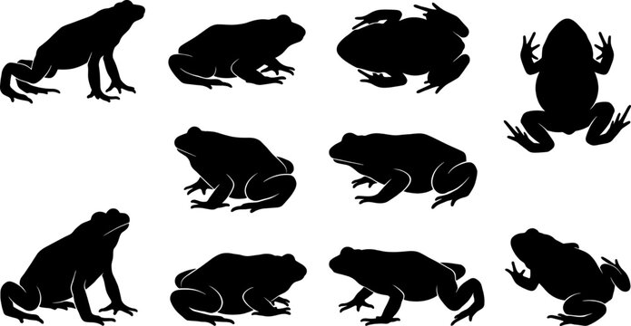 Frog and toad silhouette collection displaying different species in various resting and jumping poses