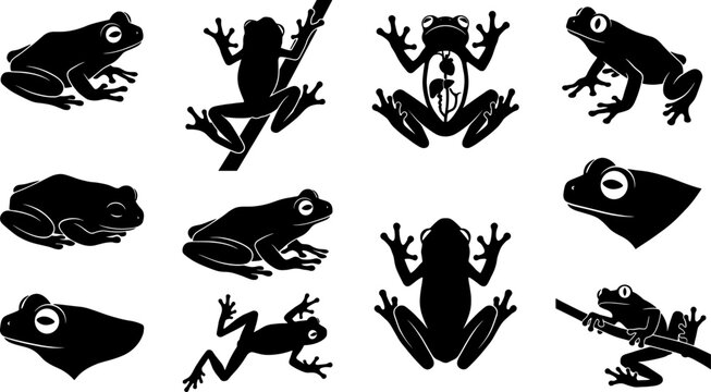 Frog and toad silhouette set showing jumping and sitting poses in a wildlife nature bundle collection