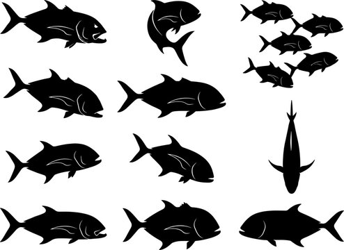 Giant trevally fish silhouettes bundle collection isolated on transparent background for fishing and marine design