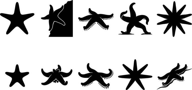 Graphic bundle of starfish silhouettes in multiple shapes and positions for marine design