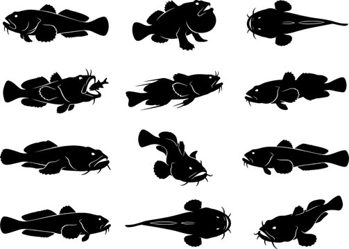 Monkfish and toadfish silhouette pack displaying predatory bottom-dwelling sea creatures in several unique poses