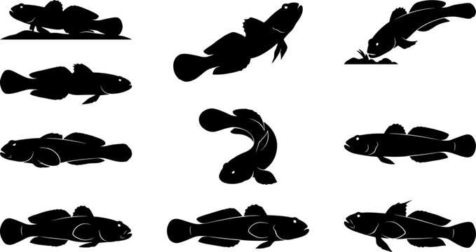 Mudskipper fish silhouette set showing amphibious gobies in various poses on land and water