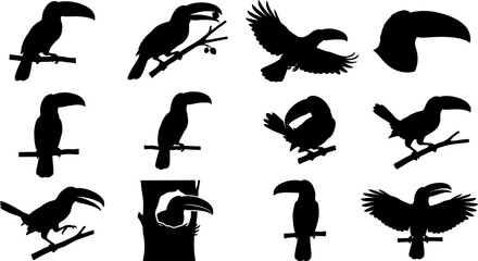 Fototapeta premium Pack of toucan silhouettes perching and flying in a tropical bird bundle