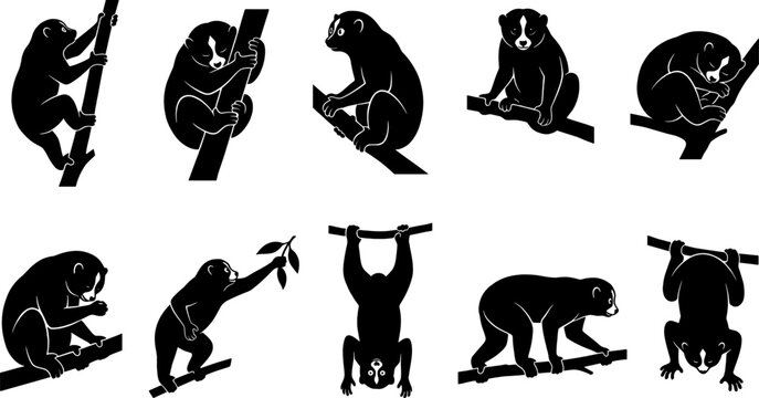 Pack of slow loris silhouettes showing small primates climbing and sleeping on branches