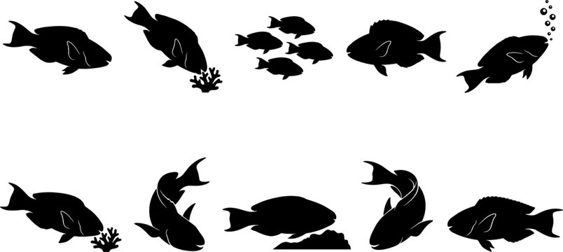 Parrotfish silhouette variety pack including coral reef interaction and swimming poses for marine themes