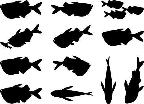 Pacu and piranha fish silhouette collection featuring multiple swimming poses in a predatory aquatic bundle