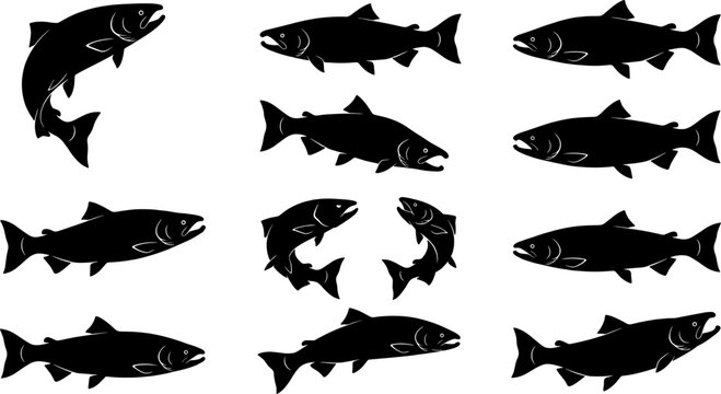 Salmon and trout fish silhouette set featuring jumping and spawning movements in river bundle