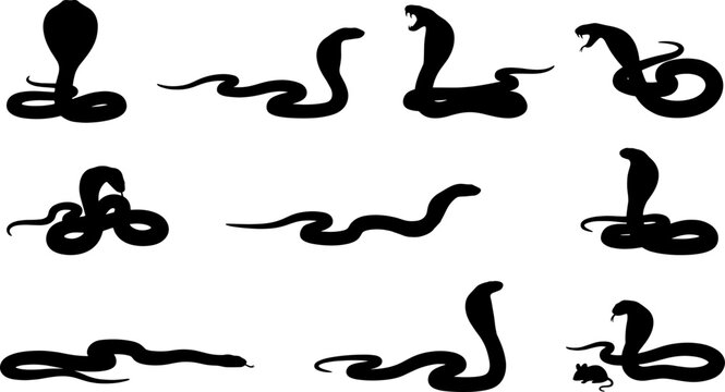 Serpent cobra silhouette bundle displaying a wide range of snake behaviors for wildlife and warning signs