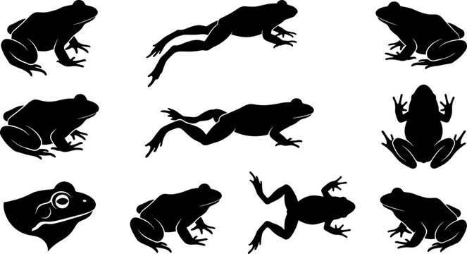Set of leaping frog silhouettes showing movement and anatomy for sports or health branding
