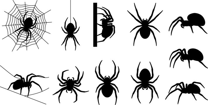 Set of orb weaver spider silhouettes depicting arachnids on webs and hanging threads
