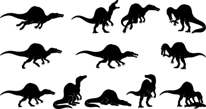 Spinosaurus dinosaur silhouette set featuring various walking and hunting poses in a prehistoric bundle collection