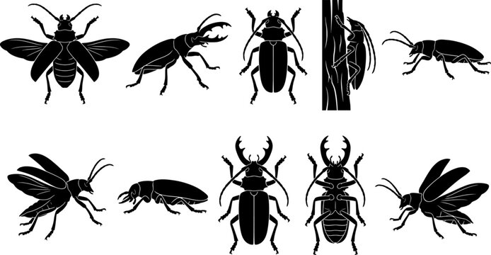 Stag beetle insect silhouette set collection showing various species with large mandibles and wings