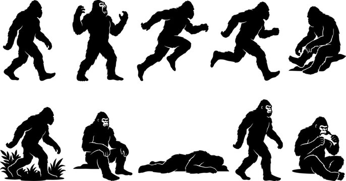 Strong bundle of gorilla and bigfoot silhouettes walking running and sitting in nature